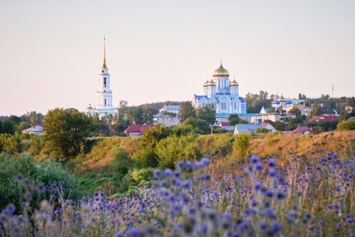 «По пути нам встретился Задонск…»