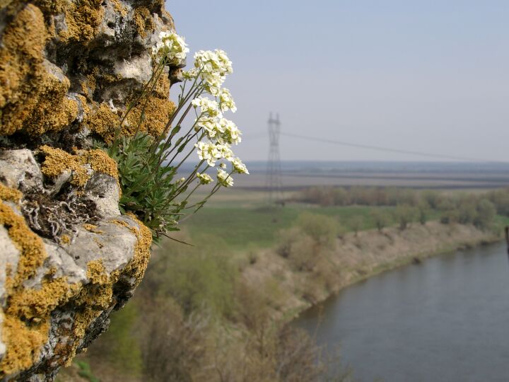 На Дону стоим, с водой маемся