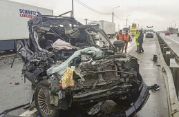 Живи по правилам!