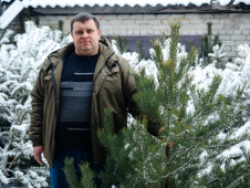 Ёлки-иголки