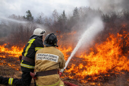 Не гори оно огнём