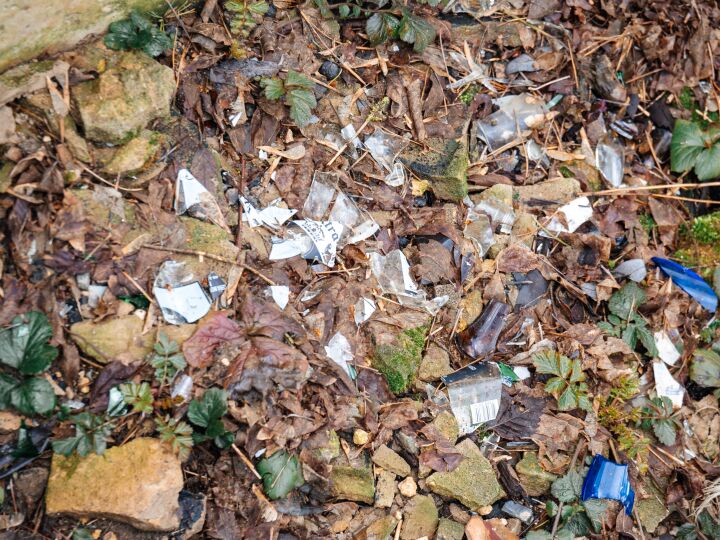 Мусорные реки, пластиковые берега