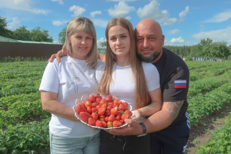 Ваше огородие, госпожа клубника