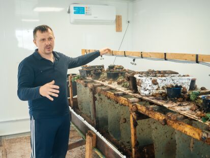 Улитки по-шабалински