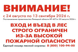 В лес - только после отмены запрета