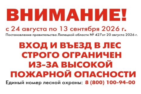 В лес - только после отмены запрета